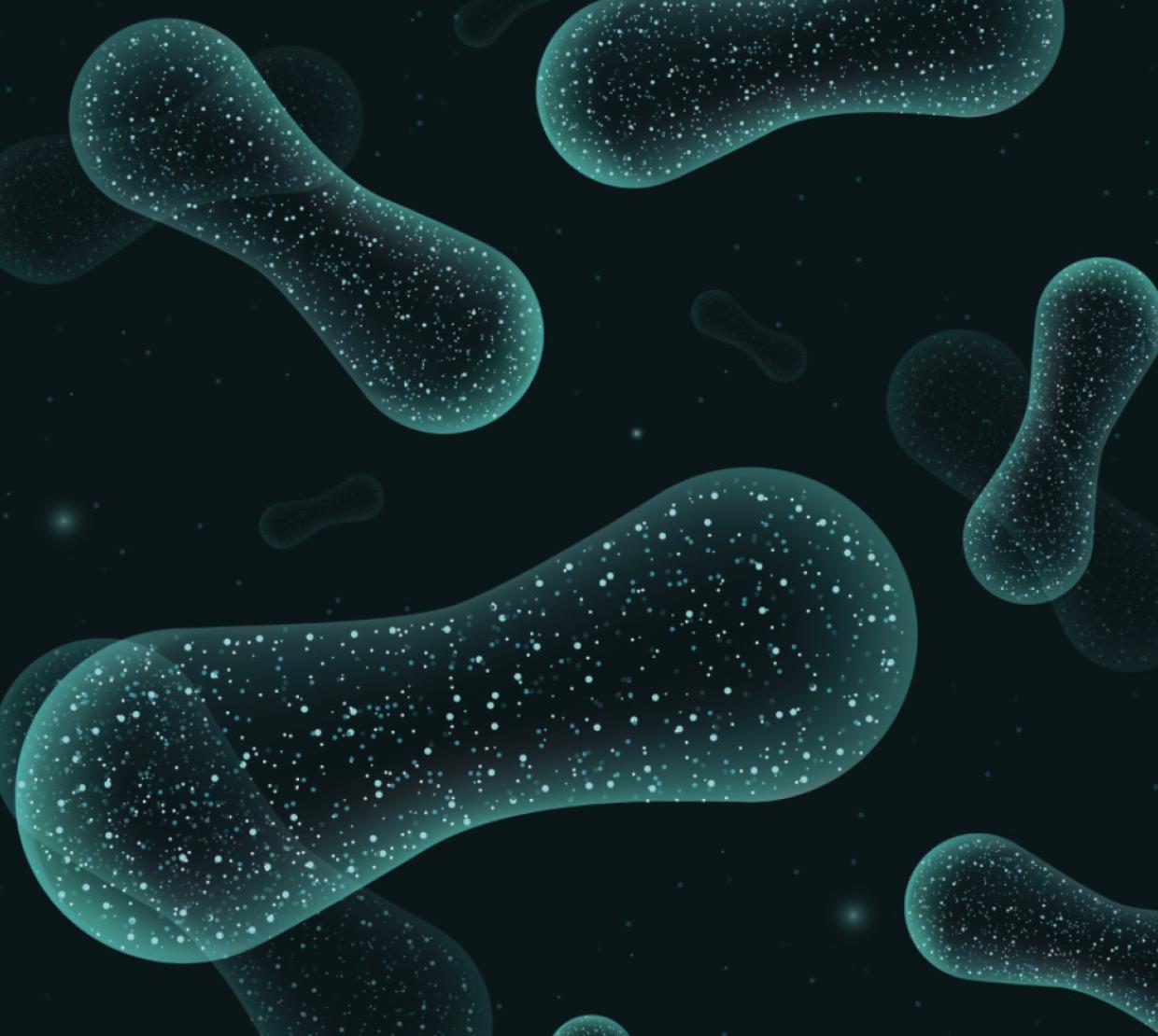 Gut microbiome close-in