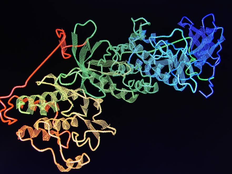 Stylized protein structure